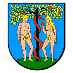 Opracowanie studium wykonalności dla projektu