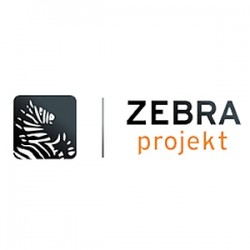 Rozliczanie i zarządzanie projektem pn. Uruchomienie Innowacyjnej e-gry miejskiej w oparciu o technologie mobilne
